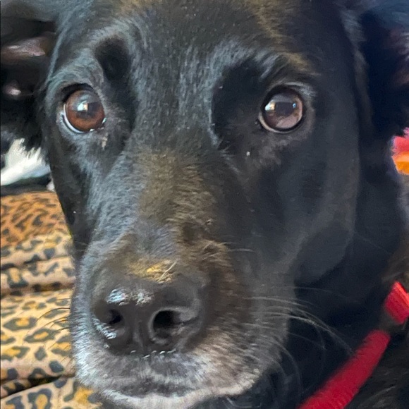 Meet the Posher! - Picture 7 of 9